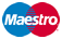 maestro logo